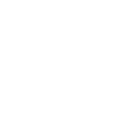 Peak Athleticism logo